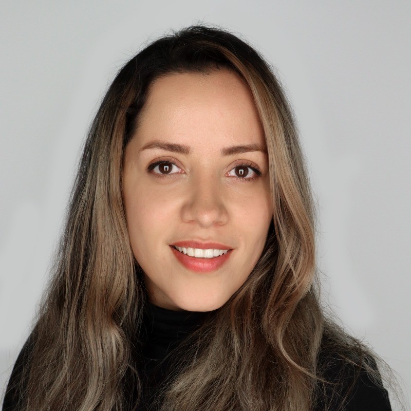 Sam Ranjbar, Director of Data & AI Engineering at DX.Training